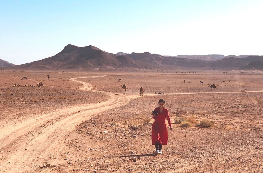 Aboutページリンク画像